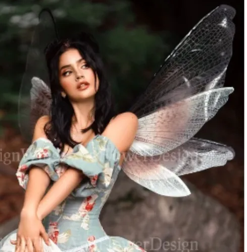 Beauty fairy wings