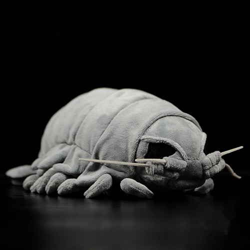 Realistic Marine Giant Isopod