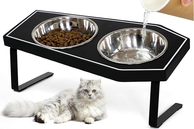 Cat Food Bowls Elevated, Gothic Cat Bowls, Raised Cat Bowls for Indoor Cats with Non-Slip Stand & Wood Board, Stainless Steel and Whisker Friendly Food Bowls - Cat Bowl*2
