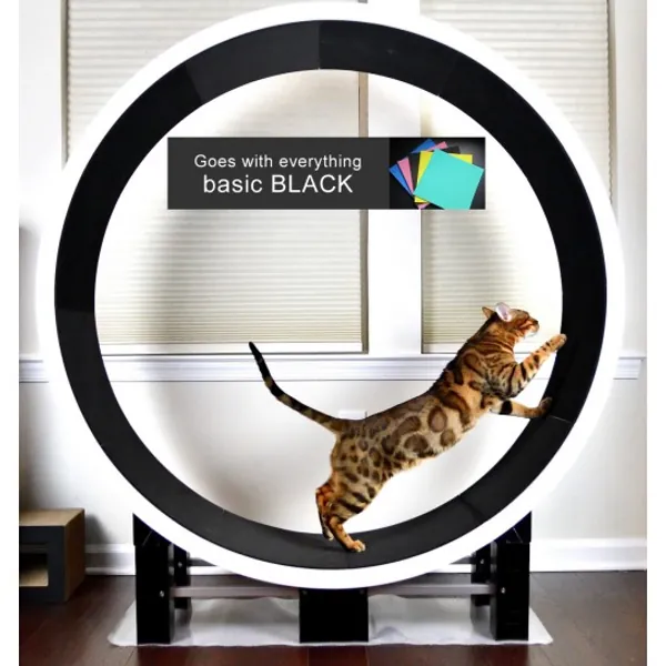 Ferris Cat Exercise Wheel G5 - ZiggyDoo