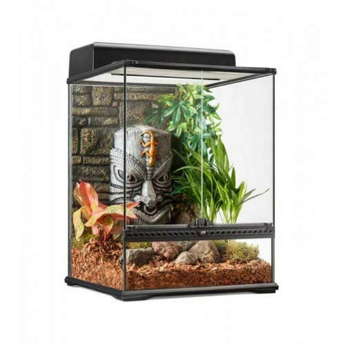 Exo Terra Tiki Pt2597 Terrarium Small Height 45 x 45 x 60 cm L