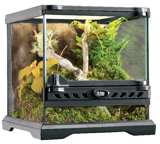 Exo Terra Glass Terrarium Kit, for Reptiles and Amphibians, Nano, 8 x 8 x 8 inches, PT2599A1