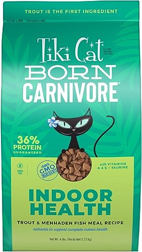 Tiki Cat Born Carnivore Indoor Health, Trout & Menhaden Fish Meal, Grain-Free Baked Kibble to Maximize Nutrients, Dry Cat Food, 6 lbs. Bag - Fish - 6 Pound (Pack of 1)