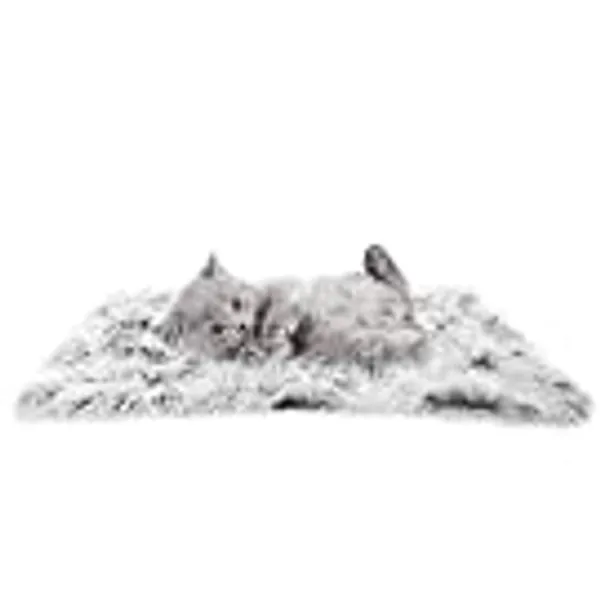 PJYuCien Fluffy Fleece Cat Dog Blanket, Soft Warm Pet Throw Blanket for Dogs & Cats (Small 16" x 24")