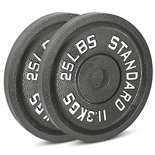 25lbs Plates