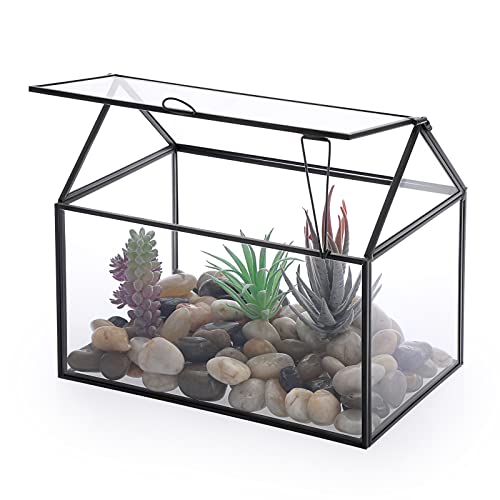 JUXYES House Shape Plant Terrarium with Swing Lid, Geometric Glass Terrarium Planter for Moss Fern, Tabletop Windowsill Display Planter Box Air Plant Decor Display Box for Flower Succulent - Black