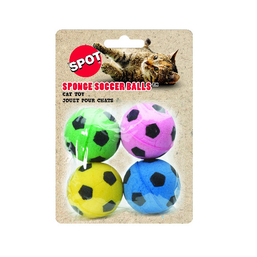 Soccer for Kitties