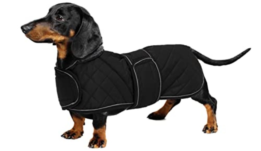 Sausage Dog Coat in Black