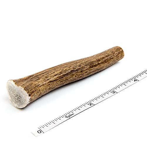 Devil Dog Pet Co Antler Dog Chew - Premium Elk Antlers for Dogs - Long Lasting Dog Bones for Aggressive Chewers - No Mess No Odor - Wild Shed in The USA - Veteran Owned (Small) - Small