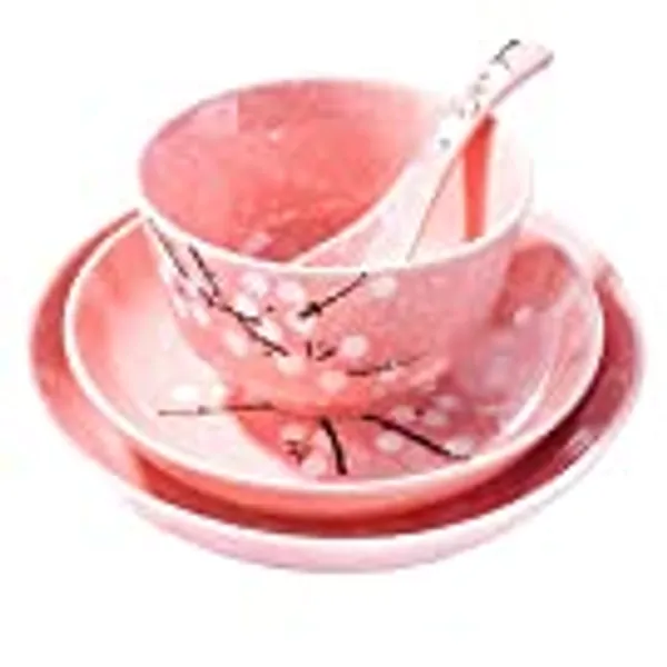 Whitenesser 4-Piece Dinnerware Set, Plate, Dish, Bowl, Spoon, Japanese Hand-painted Tableware set(Pink plum)