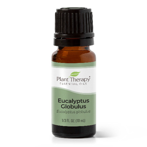 Eucalyptus Globulus Essential Oil | 10 mL