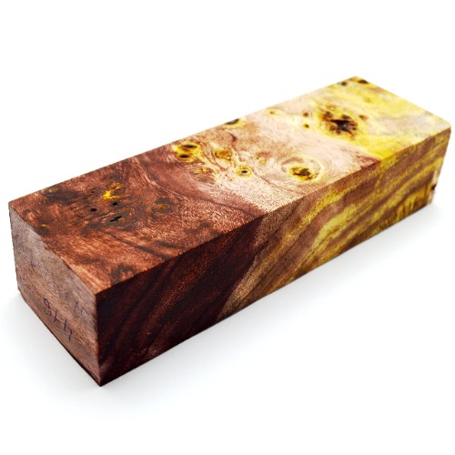 Stabilized BURL Wood Wooden Block Turning Blank Handle Blade Knives Knife "Cactus Juice Stabilizing" (#416)