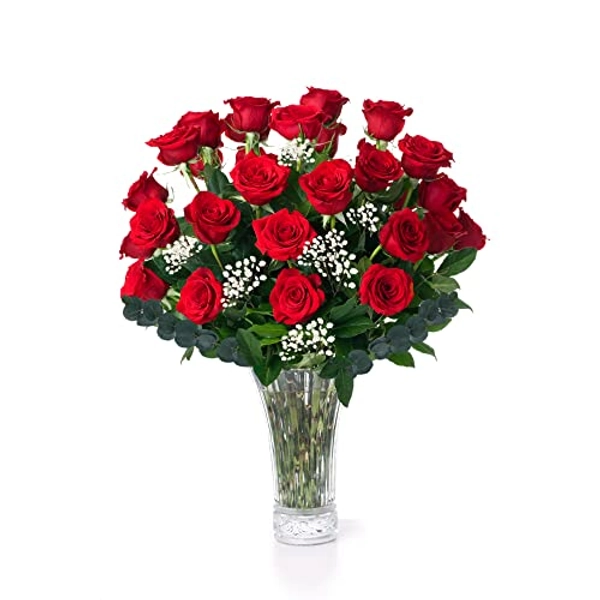 Red Roses Fresh Flowers Delivery - 2 Dozen Roses for Delivery/Farmhouse Flowers for Delivery - Fresh Cut Long Stem Roses Bouquet of Flowers Birthday Gifts for Women -Aquarossa Farms - 24 flowers (2 dozen) - No Vase