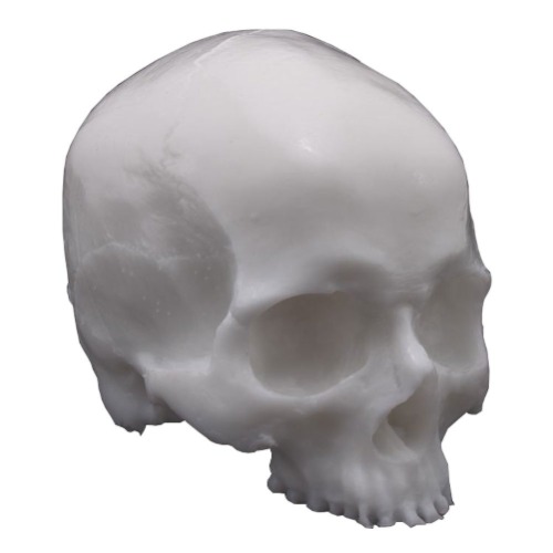 A Pound of Flesh Practice Tattoo Skull, Tattooing Body Part for Designing Artwork, Testing Products or Display Professional Quality, White - 