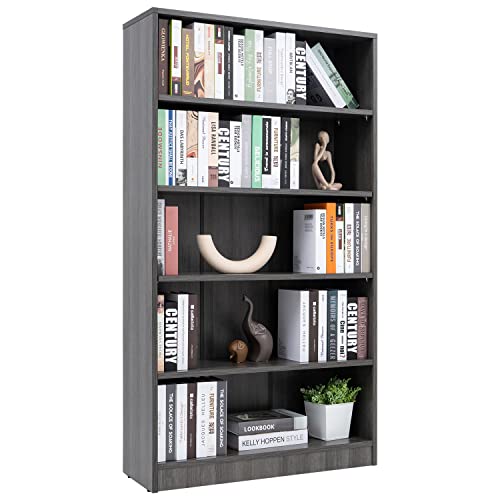 Bookshelf (~5ft)