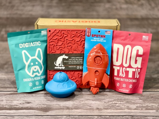 Dogs in Space Bundle Box for Chewing and Enrichment - Medium