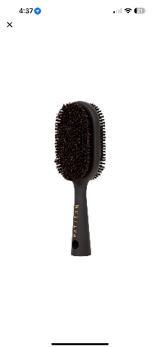 Double-Sided Bristle Brush