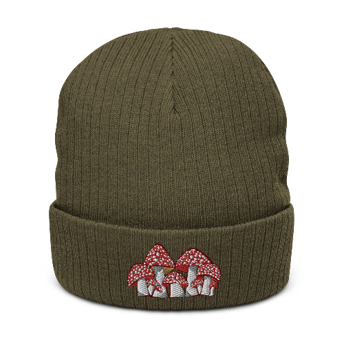 Fly Family Ribbed Knit Beanie - Olive