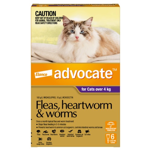 Advocate Flea, Heartworm and Worm Control for Cats over 4kg, Purple, 6 Pack
