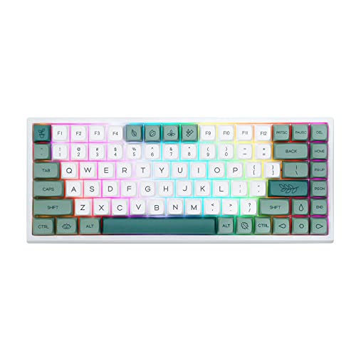 EPOMAKER EP84 Pro Upgraded 75% RGB Hot Swap 2.4GHz/Bluetooth 5.0/USB-C Wired Mechanical Gaming Keyboard with Programmable Software, NKRO, Dye Sublimation PBT Keycaps for Mac/Win/Gamers(Budgerigar) - Epomaker Budgerigar Switch - Botanic Garden