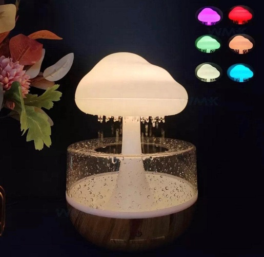 Aroma Diffuser Cloud Night Light