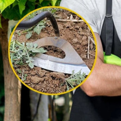 All Steel Handheld Rake Planting Tool