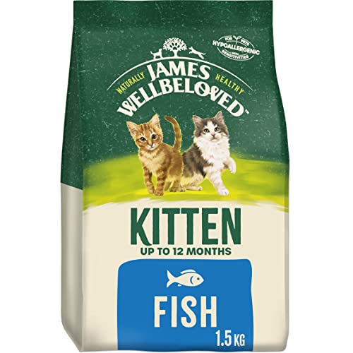 James Wellbeloved Junior Fish 1.5 kg Bag, Hypoallergenic Kitten Dry Cat Food - Fish - 1.5 kg (Pack of 1)