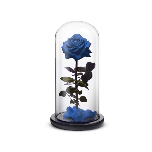 Everlasting Rose (Blue) - Small