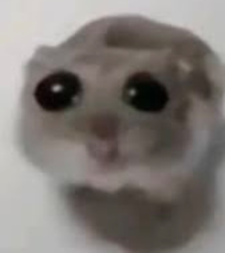 Sweet Treat Tonight King? 👑 