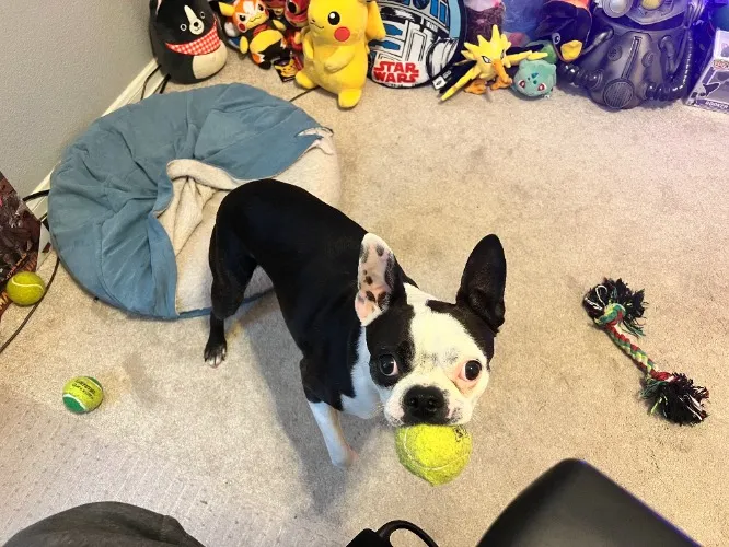 Booker All-day playtime