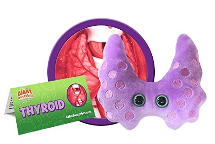 GIANTmicrobes Thyroid Plush-Educational Anatomical Organ Toy, Get Well Gift for Thyroid Illness and Post-Surgery, Graves’, Hashimoto’s disease, Unique Gift for Students, Educators and Endocrinologists - 