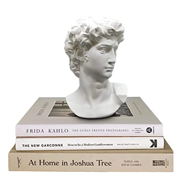 Greek Statue of David - Head Bust Statue Decor - David Statue for Greek Mythology Decor - Greek Bust for Roman Home Decor - Greek Statue Decor
