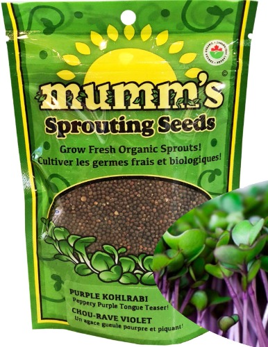 Organic Purple Kohlrabi (Chou-Rave Violet) Microgreen & Sprouting Seeds, Mumm's, Large Size: 200 Grams - Non-GMO - High Germination Rate. - 