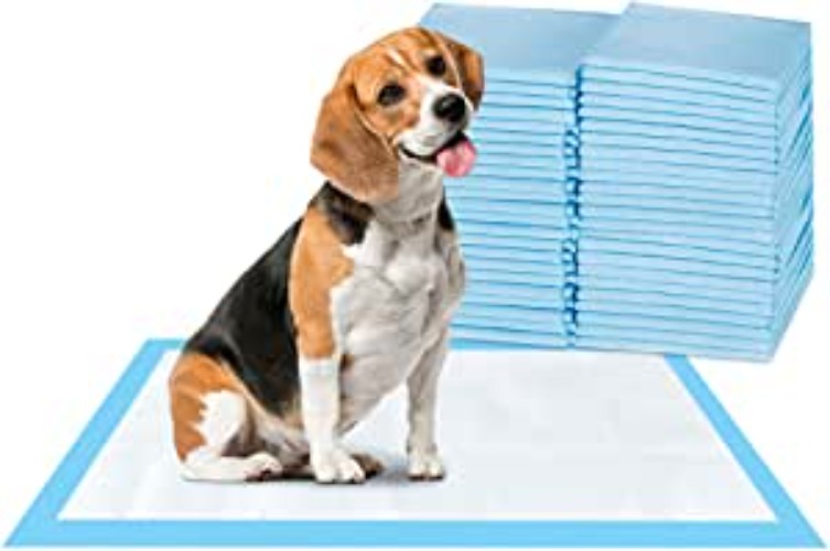 ScratchMe Super-Absorbent Waterproof Dog and Puppy Pet Training Pad, Housebreaking Pet Pad, 50-Count Small-Size, 17.1’’X23.6’’, Blue - Small 50PCS
