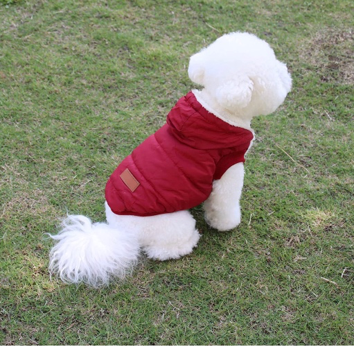Fleece Lining Extra Warm Dog Hoodie in Winter for Medium Dogs Jacket Pet Coats with Hooded,Red L : Pet Supplies