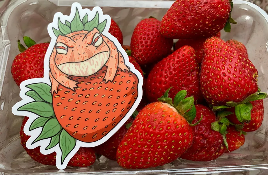 STRAWBERRY PACMAN FROG