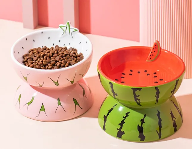 Food and Water Bowl For Kiki!