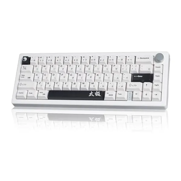 SUEHIODHY GMK67 White Japanese Mechanical Keyboard Hot-Swappable Bluetooth/2.4G/Type-C 65% Custom RGB Keyboard with Linear Lubed Switches VIA Programmable Volume Knob for Win/Mac/iOS
