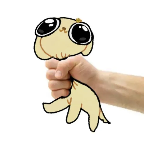 Mesada para lily 🐶❤