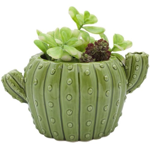 Cactus Flower Pot