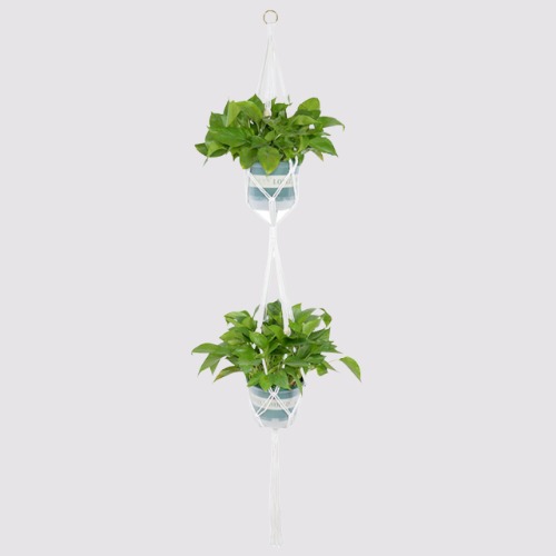 Macramé Plant Hangers - Twin Hanger