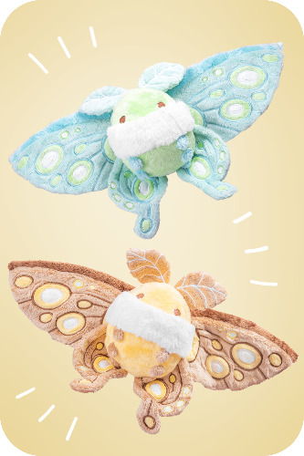 Sky and Terra the Fairy Moths | Sky the Teal Fairy Moth