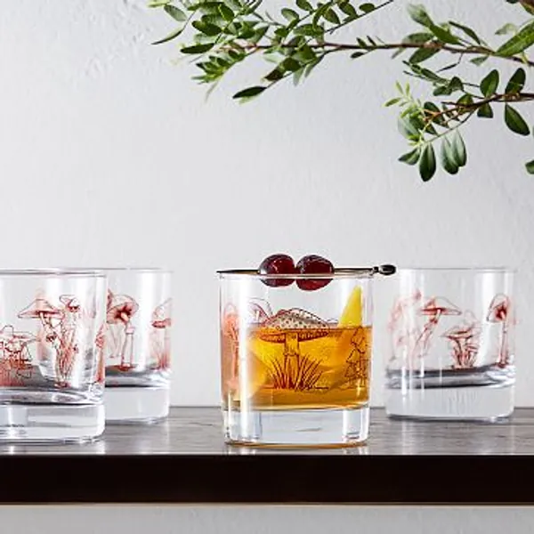 Counter Couture Mushroom Rocks Glass | West Elm