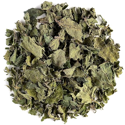 Nettle Leaf Tea Organic Herbal - Dried Stinging Nettles - Urtica Dioica - Organic Stinging Nettle Tea Nettles Nattle Tea Nettke Leaf Dried Nettle Leaves Nettles Herb Dry Nettle Tea Leaves Organic - Nettle Leaf - 100 g (Pack of 1)