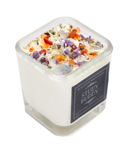 Study Buddy Candles by New Moon Beginnings - Focus, Creativity, & Concentration - Herb & Crystal Candles - Soy Candles - Aromatherapy Candles - 7.5oz Glass Jar - 7.5 Ounce Square Glass