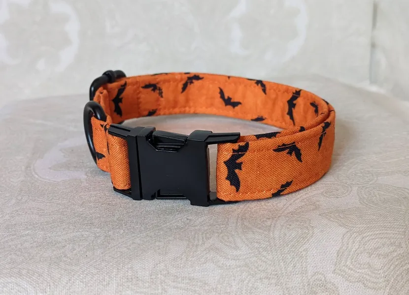 Orange and Black Bat Collar