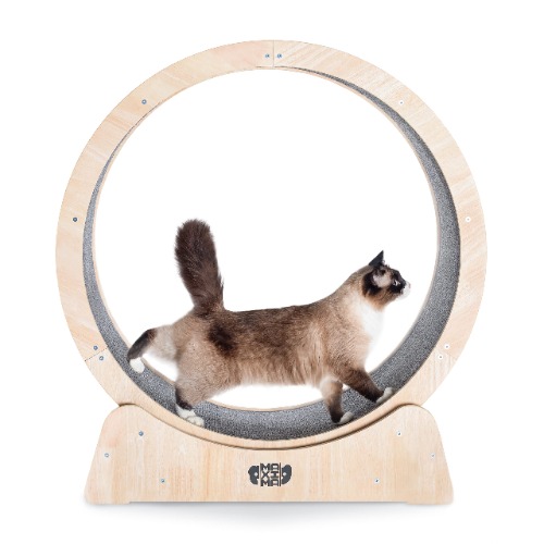 MAXIMA Cat Exercise Wheel 90cm-Australian Brand- Assembly Video Included, Organic Wooden Materials, Indoor Cat Treadmill