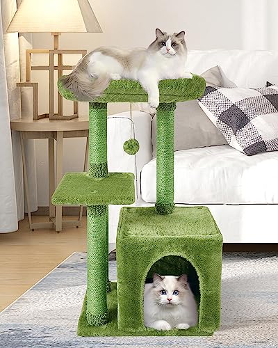 New cat tree for marble