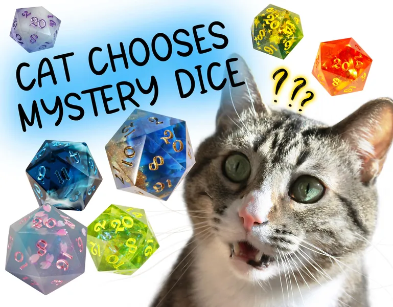 Mystery Dice Chosen by a Cat