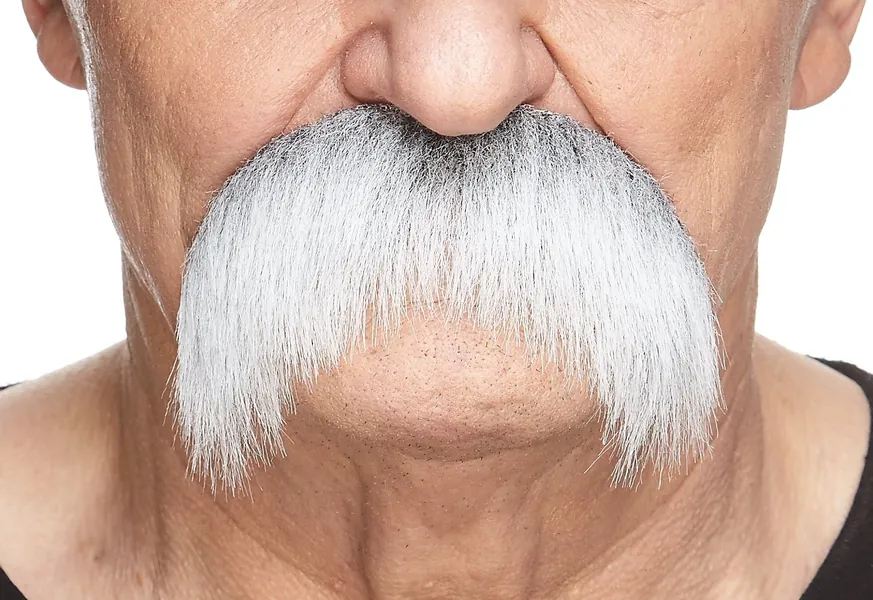 Walrus Fake Mustache - Gray and White